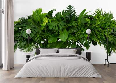 Tropical leaves foliage plant jungle bush floral arrangement nature backdrop isolated on white background, clipping path included. Wall mural