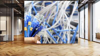 Lots of RJ45 UTP Cat6 LAN internet network cable fiber optic and Ethernet cables for computer data link connect cloud computing server to networking devices system switch wifi or hub router. Wall mural