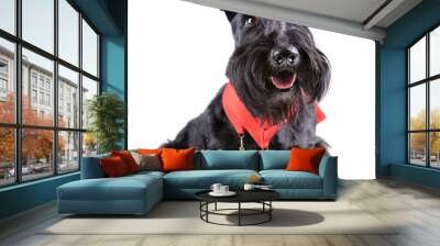 Champion dog Wall mural