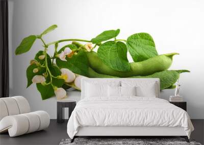 Fresh green beans Wall mural