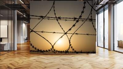 Concertina wire on desert barrier Wall mural