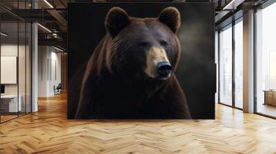 Front view of brown bear Wall mural