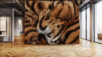 A close up of a tiger's fur with stripes and spots Wall mural