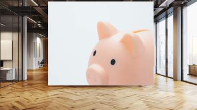 Pink piggy bank isolated on Light blue background. Soft focus Wall mural