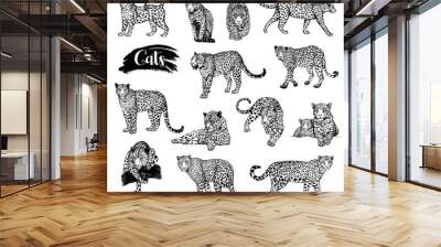 Big set of hand drawn sketch style leopards isolated on white background. Vector illustration. Wall mural