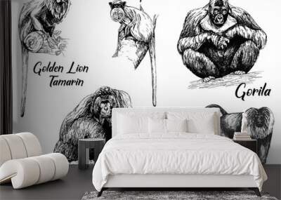 Set of hand drawn sketch style apes isolated on white background. Vector illustration. Wall mural