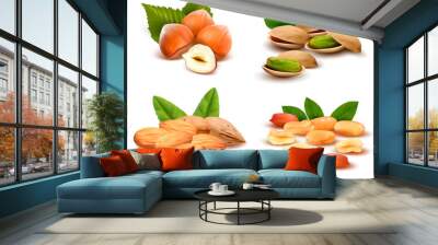 Big collection of ripe nuts  Vector Wall mural