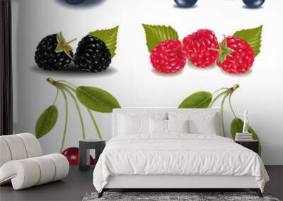 Photo-realistic vector illustration. Group of berries. Wall mural