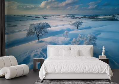 winter landscape with lake and snow Wall mural