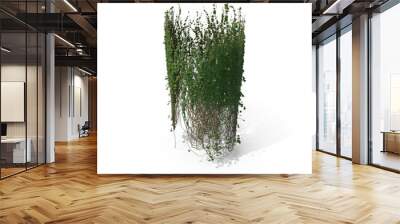 3D illustration of a realistic Ivy plant
 Wall mural