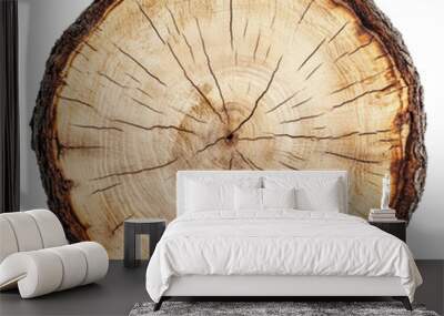 PNG Tree trunk cross-section with growth rings Wall mural