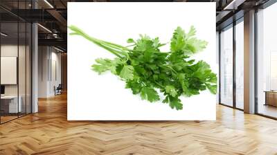 Fresh parsley spice Wall mural