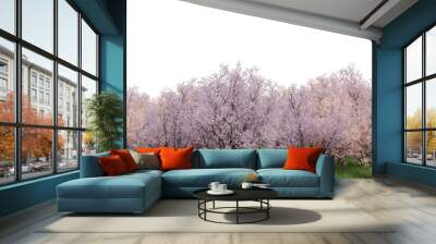 Evergreen flowers and grass field in nature, Cherry blossom tree on garden in springtime, forest isolated on transparent background - PNG file, 3D rendering  for create and design or etc Wall mural