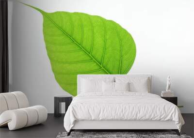 Green bodhi leaf isolated on white background Wall mural