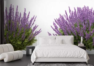 Set of lavender flowers with isolated on transparent background. PNG file, 3D rendering illustration, Clip art and cut out
 Wall mural