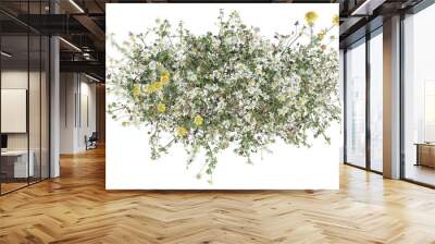 Top view Evergreen colorful flowers and grass field in nature with isolated on transparent background - PNG file, 3D rendering for create and design or etc Wall mural