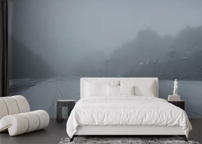 A land covered with snow by a blizzard.  Wall mural