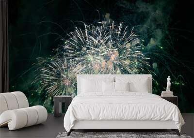 green fireworks with black sky Wall mural