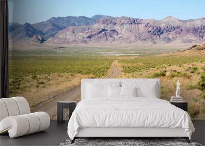 Road heading off through the desert landscape by Pyramid Lake Nevada Wall mural