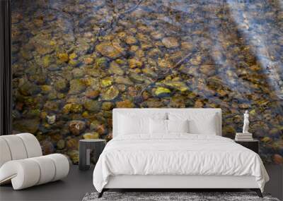 Texture, background. The surface of the water in the river with pebbles Wall mural