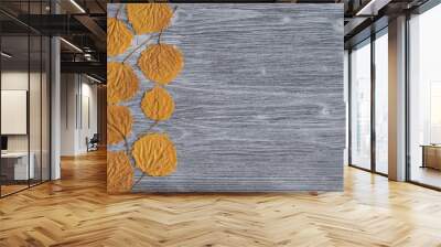 Dry natural yellow leaves of quaking asp   tree on gray wooden background. Top view Wall mural