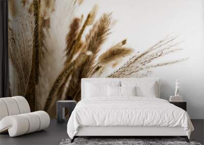 Bouquet of decorative dried pampas grass on a light background, close-up. Wall mural