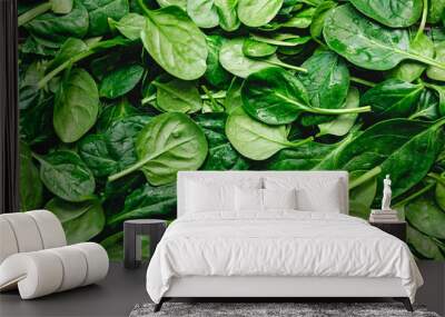 Top view on fresh organic spinach leaves. Healthy green food and vegan background. Wall mural