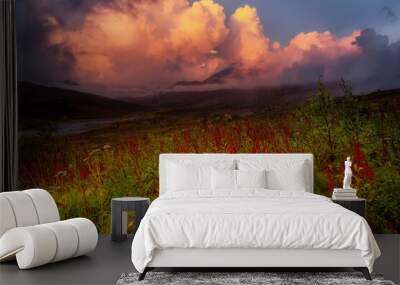 Beautiful View of Wild Flowers, Trees and Mountains in Canadian Nature. Tomstone Territorial Park, Yukon, Canada. Dramatic Sunset or Sunrise Sky Artistic Render. Wall mural