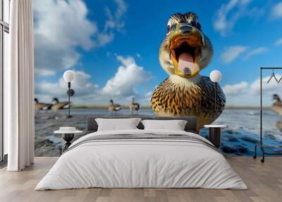 Funny duck with open beak looking directly at camera. Wall mural