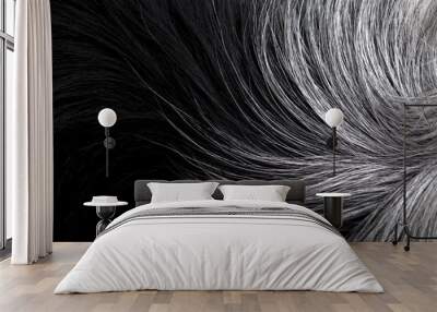 Black and white fur close-up Wall mural