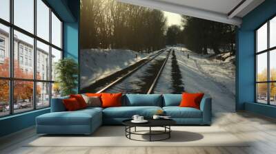 A snowy forest Wall mural