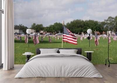 american flag and flags Wall mural