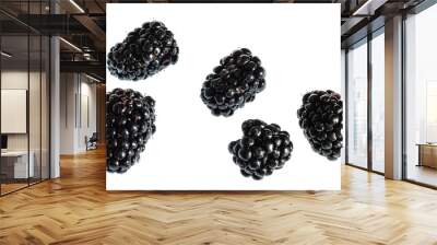 Fresh blackberry isolated on white background. Top view.  Wall mural