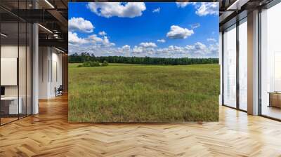 pasture with clouds forest backdrop 2 Wall mural