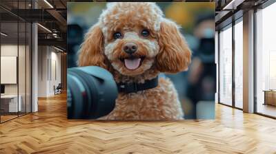 Happy Dog Posing in Front of Camera Outdoors Wall mural