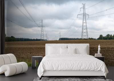 Power mast for high voltage electricity with cables in landscape. Wall mural