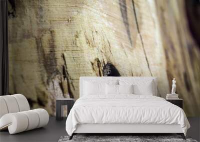 volumetric texture objects Wall mural