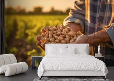 A farmer's hand cradling freshly harvested peanuts from a vibrant green field, showcasing the agricultural bounty of this nutritious nut. Wall mural