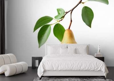 A succulent pear on a branch with leaves isolated on white background. Wall mural