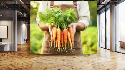 Farmer holding freshly harvested organic carrots at vegetable garden. Agriculture and food concept. Wall mural