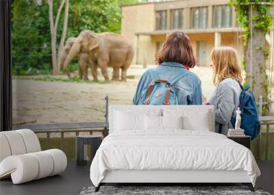 Two girls friends students watching at elephant family feeding in the zoo Wall mural