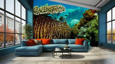 carte postale sous marine 2 Wall mural