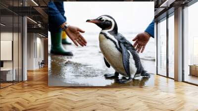 People at the beach helping sick penguin, volunteers extending hands to help and rescue animal in danger or releasing it after rehabilitation. Wildlife conservation and care concept, rescue operation Wall mural