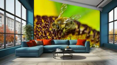 Bee on a sunflower Wall mural