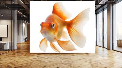 goldfish on a transparent background png isolated Generative Ai Wall mural