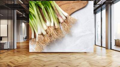 Fresh red and white onions on white background Wall mural