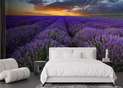 Exciting landscape with lavender field at sunset Wall mural