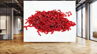 bloodworm is a mosquito larva. Good food for aquarium fish and fishing Wall mural