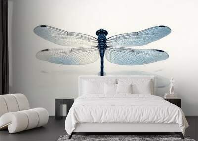 Dragonfly spreading its wings on white background Wall mural