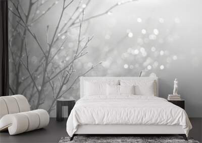 Birch tree branches covered in frost with bokeh background Wall mural